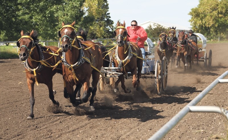 The chuckwagon races drew big crowds during the Westlock fair which ran Aug. 16-18.