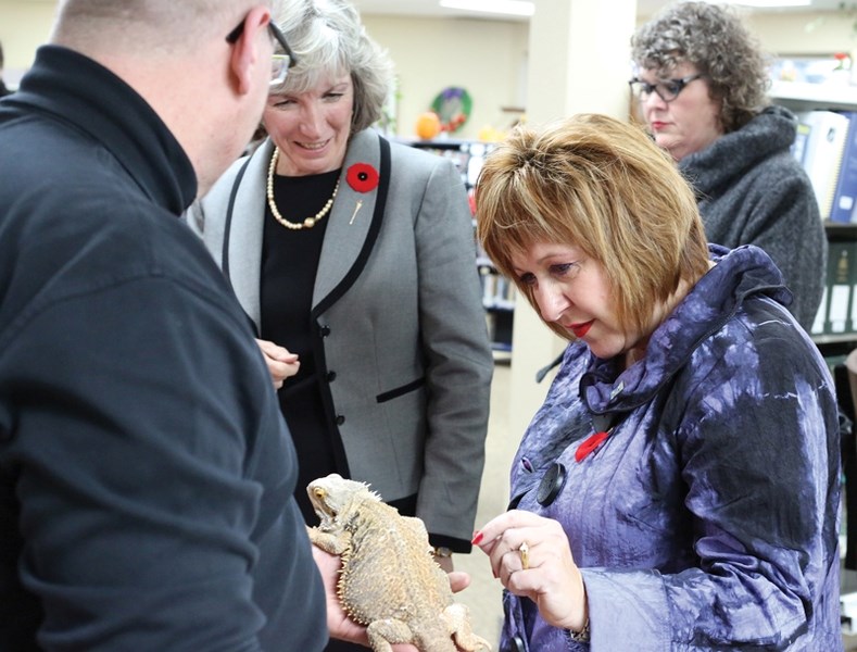 Alberta culture minister Heather Klimchuk takes a look at Yoshi, the Westlock Library’s bearded dragon during a tour of the facility on Nov. 7. Klimchuk visited the library