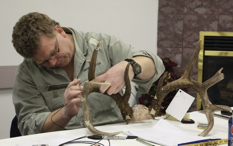 Edmonton Fish and Game Association member and Alberta Measurer Wes Voogd carefully scores a typical whitetail rack at the Busby Fish and Game Association’s antler scoring and 