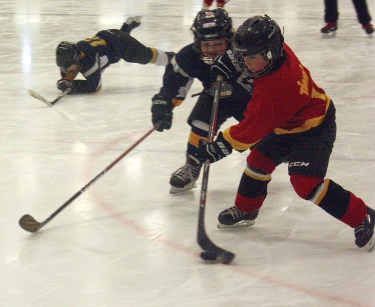 Westlock’s three Initiation Warriors hockey teams hosted a large nine-team tournament last Saturday at the Westlock Rotary Spirit Centre, which was the first for many of