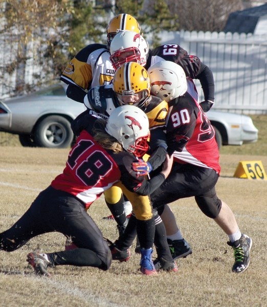 The Westlock Thunderbirds spring training camp runs in May.
