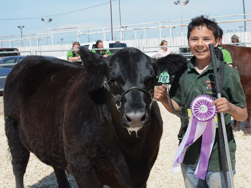 Pembina West 4-H Beef Club member Shay Chapotelle is this year’s Grand Champion of the June 6 Westlock District 4-H Beef Achievement Day show.