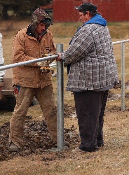 Travis Pittman and Jack Grywul position the framework of the new $8,000 chain-link fence at Westlock Elementary School on Nov. 18.