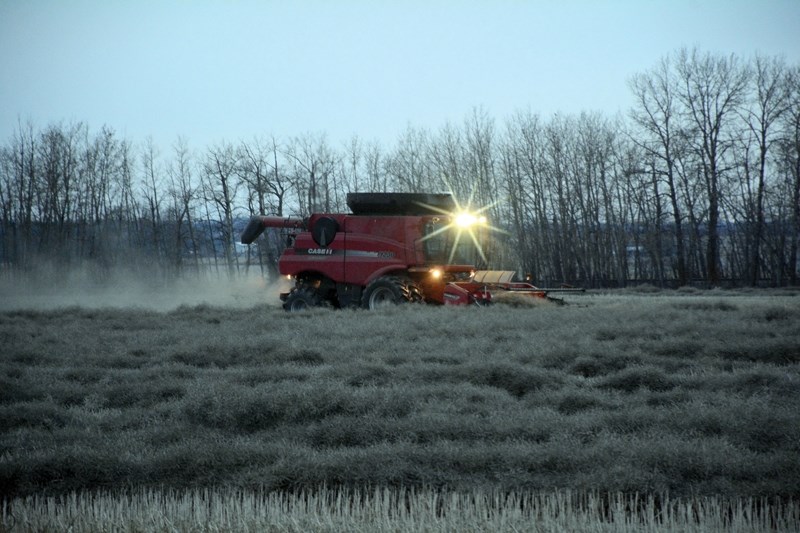 Farmers in Westlock County continued harvesting until late November. Westlock County chose not to declare a state of agricultural disaster as they estimate 90 per cent of