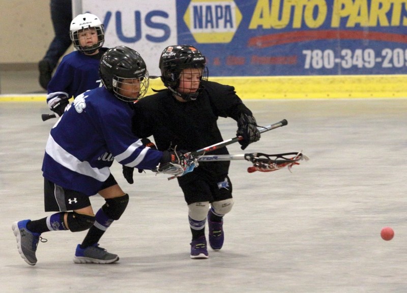 Westlock Rock tykes Brennan Properzi and Riley McQuade race for the ball during a fun game at the Rotary Spirit Centre as part of the Rock’s Lacrosse Day April 9.