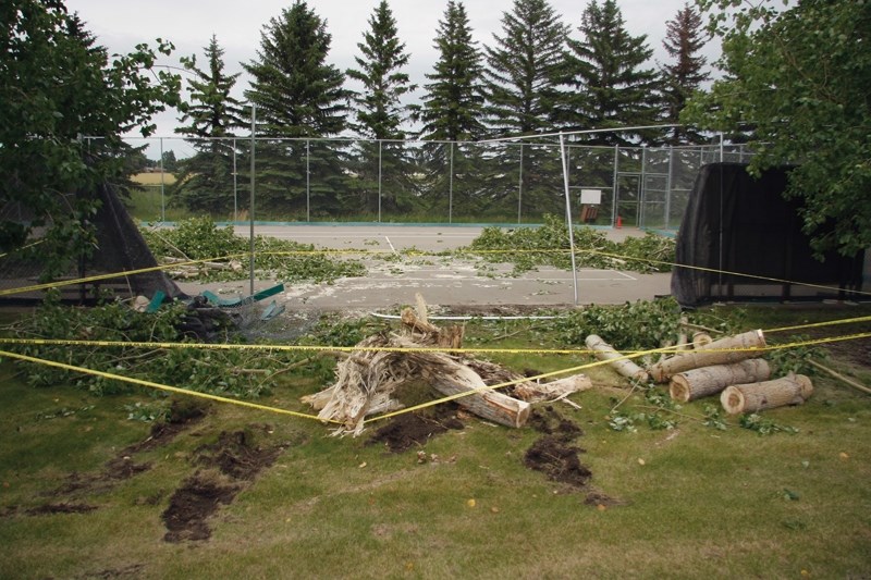 Debris covers the northern tennis courts at the Rotary Spirit Centre on the evening of July 16, a day after high winds brought down a nearby pop-lar tree and took out part of 