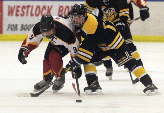 midget warriors