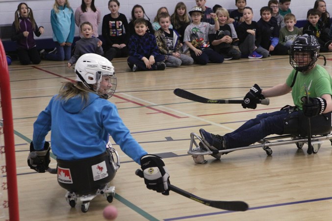 Sledge IMG_6670