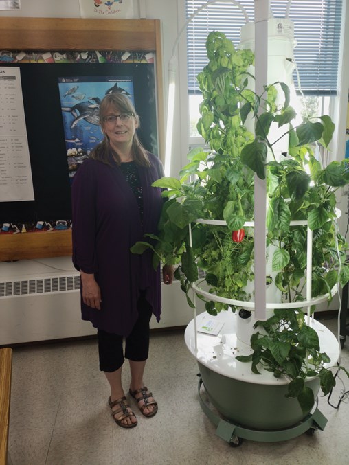  R.F. Staples School junior high science teacher Anne-Marie Bokenfohr was the one behind acquiring the tower gardens with money from TD Canada’s Friends of the Environment Foundation.