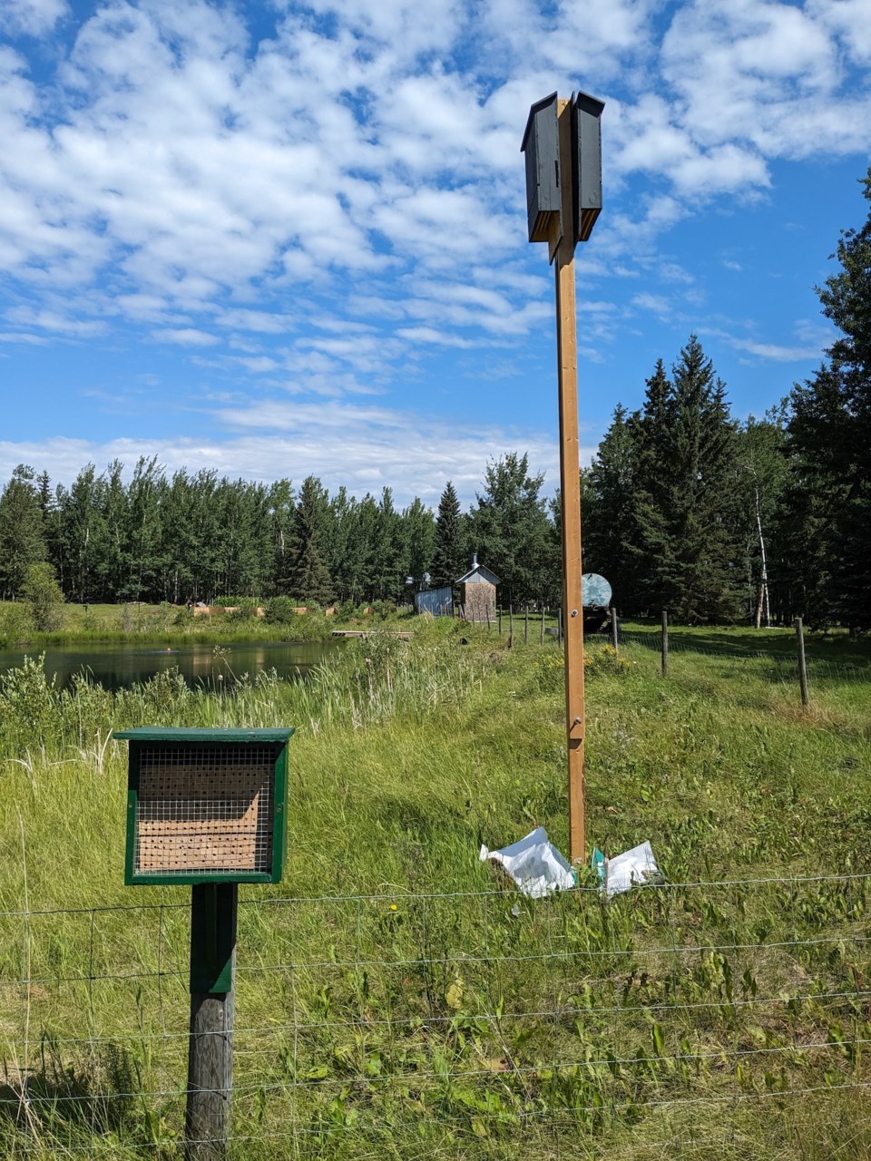 wildlife-structures-bee-hotel-and-bat-houses