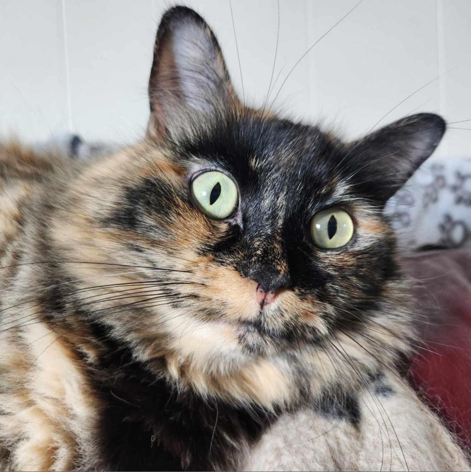 zoe