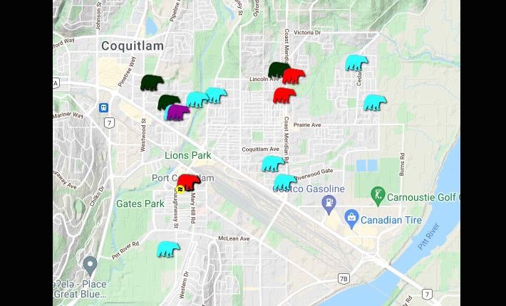 Bear encounters - WildSafeBC Aug. 1-11, 2021 Port Coquitlam