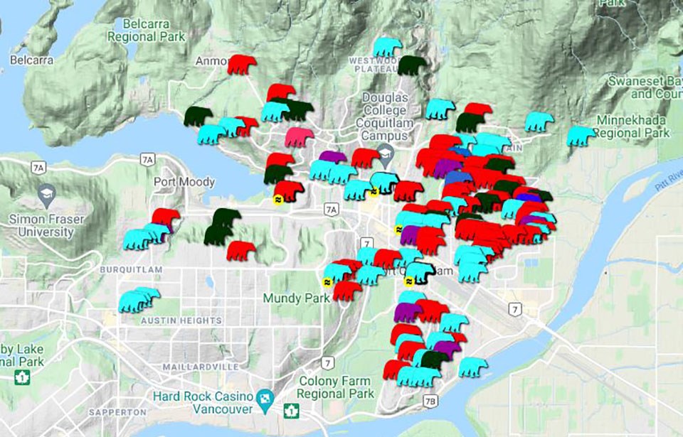 Bear encounters - WildSafeBC Oct1-30 2021