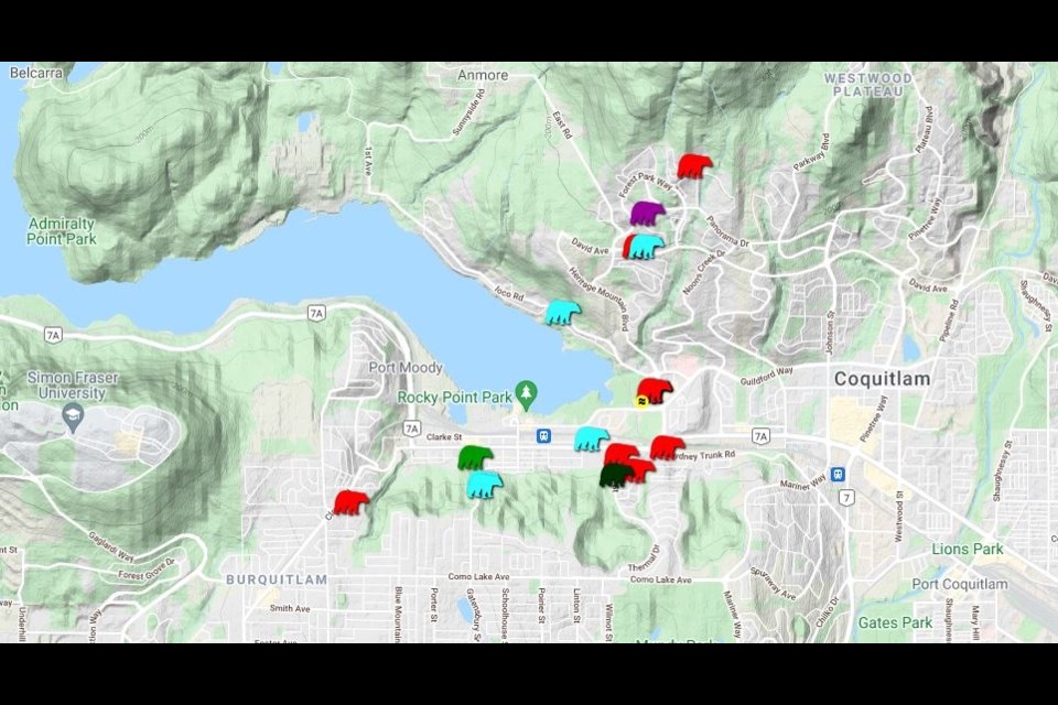There were 18 known bear sightings were reported in Port Moody between Sept. 1-7, 2021.