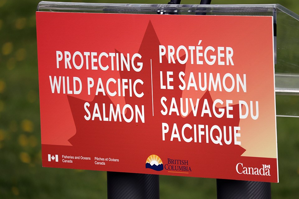 The B.C. and Canadian governments announced a new $30.5-million investment set to help educate and preserve wild Pacific salmon, as well as other water-based ecosystem projects, including one in Coquitlam's Colony Farm Regional Park.