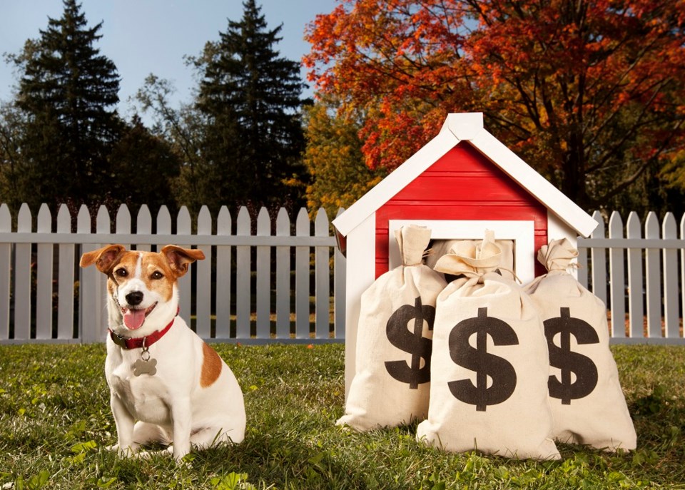 doghousecashbagspm-imagesgettyimages