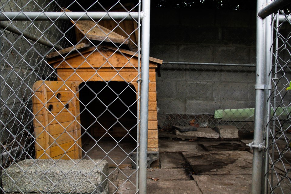 empty-dog-kennel-getty-images