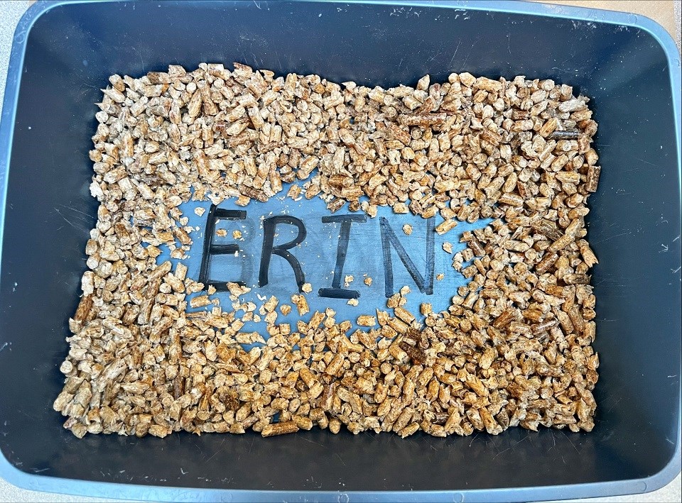 ErinBCSPCApetlitter