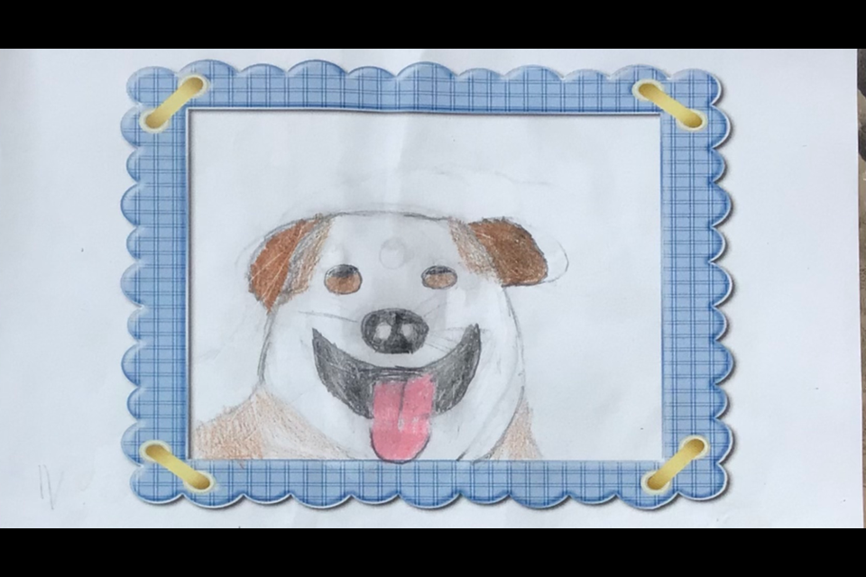 Coquitlam pet adoptions: Students write letters for animals - Tri-City News Coquitlam pet adoptions: Students write letters for animals - Tri-City News