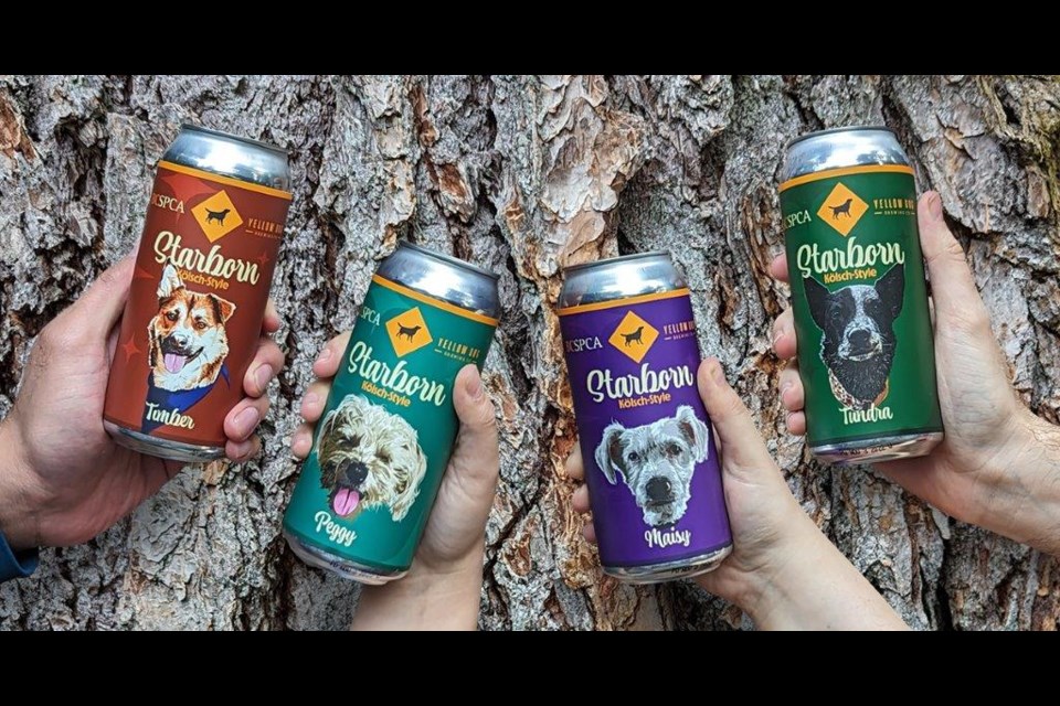 The Yellow Dog beer cans from the 2022 contest with BC SPCA.