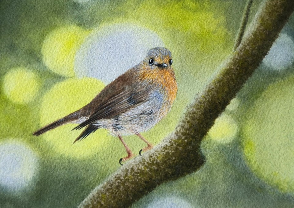 2024-exhibitions_media-images_positively-petite_homa-rezaei_european-robin_45-x-65