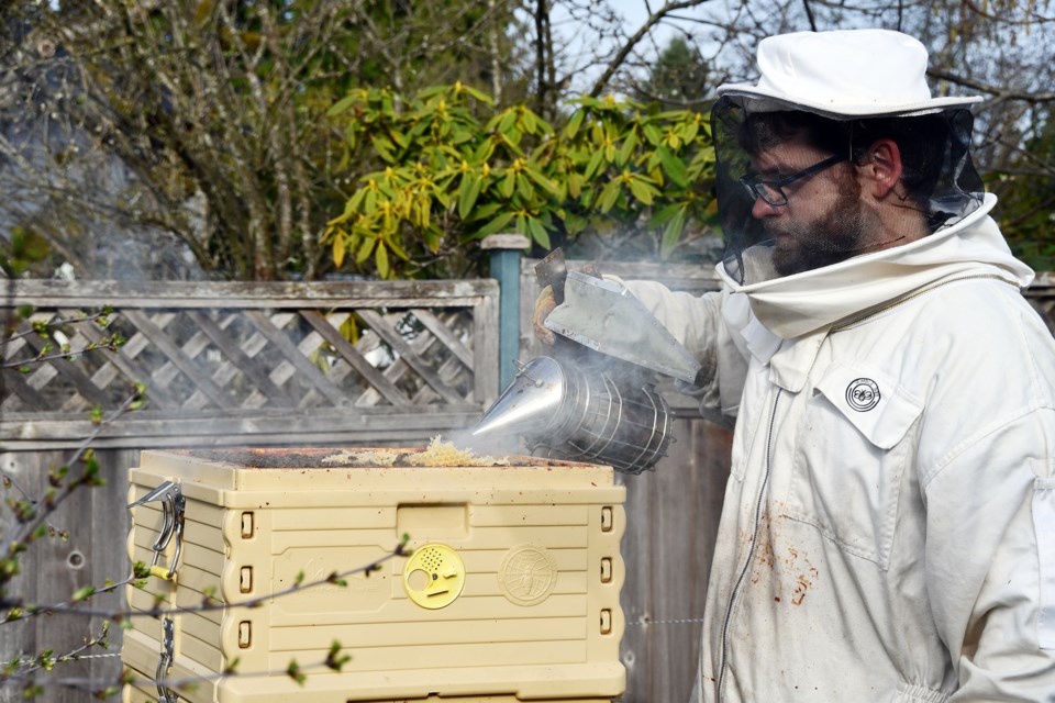 Thomas Drelich attends to his honeybees in his Coquitlam backyard on April 4, 2024. 