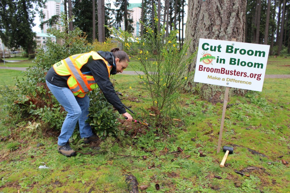 Robbin Whachell recently founded the Coquitlam chapter of Broombusters. Its first work party was in Glen Park on April 22, 2022.