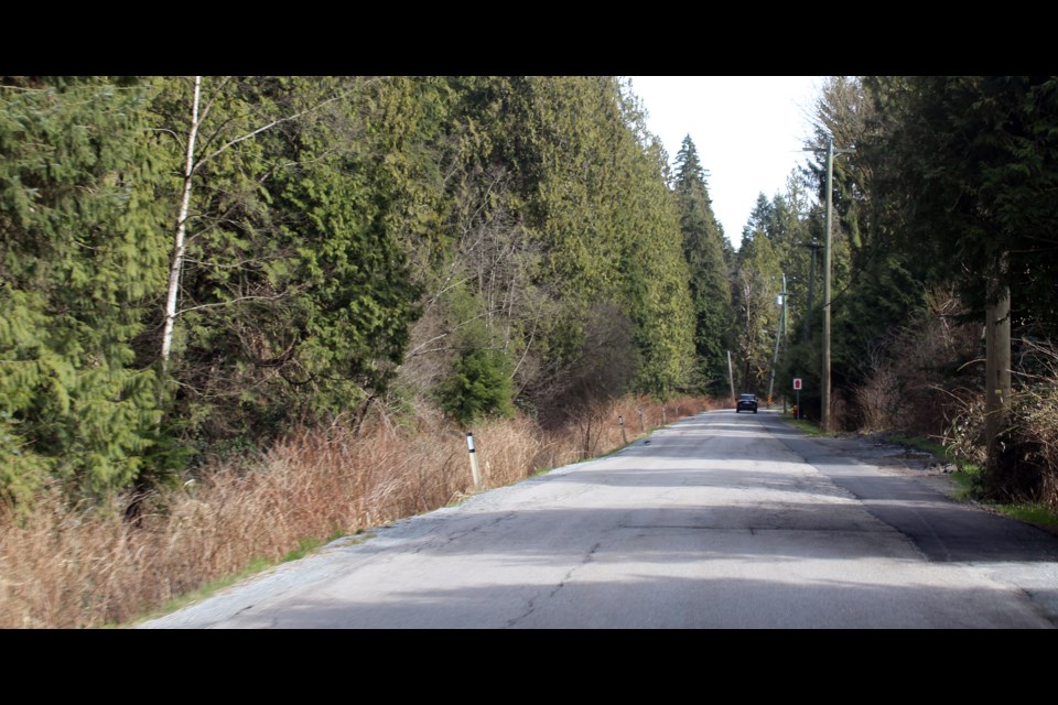 Cedar Drive in Coquitlam, located next to the blueberry farms at the base of Burke Mountain, will be upgraded; other utility and environmental works will also be done in the Partington Creek neighbourhood, over the next three years, to ready for future development.