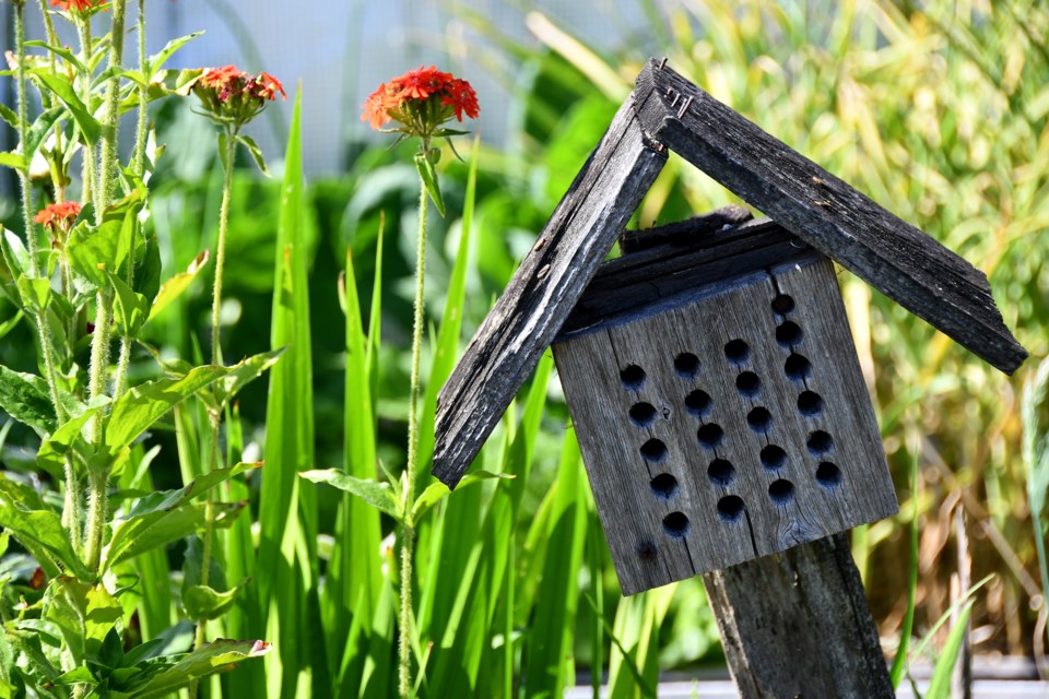 Colony Farm Community Gardens.