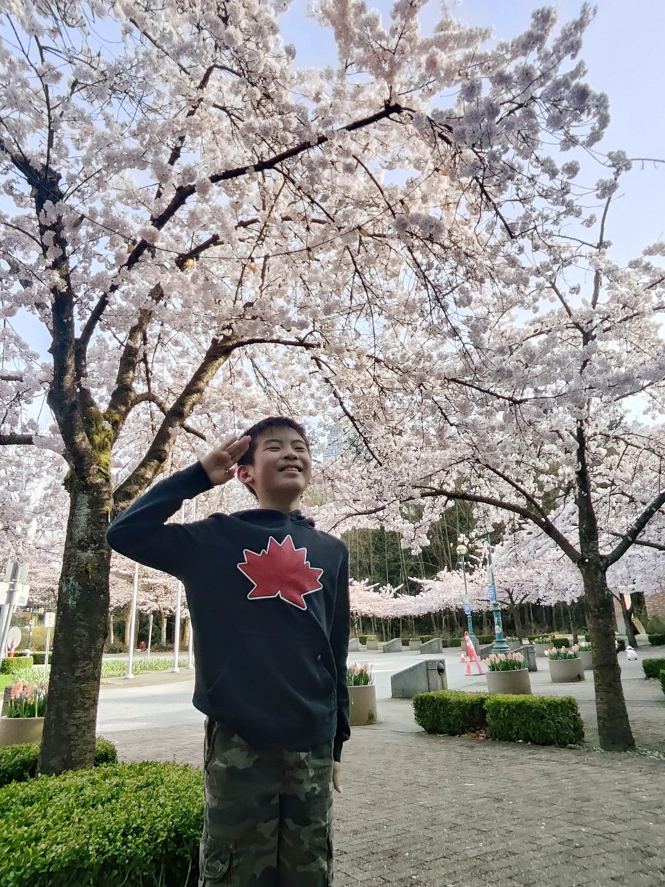 cherry-blossom