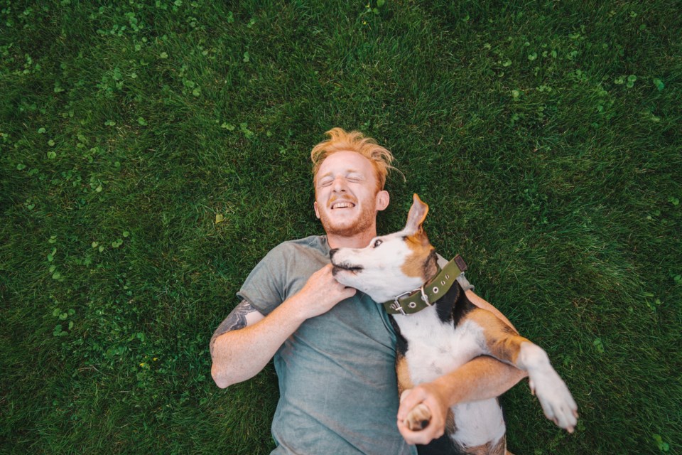 dog in park with man