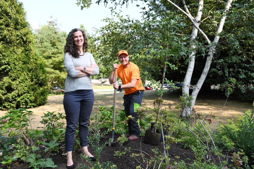 erin and jeff - coquitlam trees