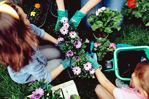 gardening Getty