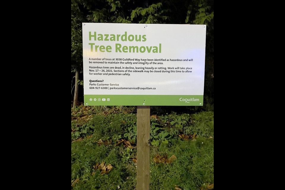 A sign along Westwood Street in Coquitlam announcing the tree removal at 3038 Guildford Way.