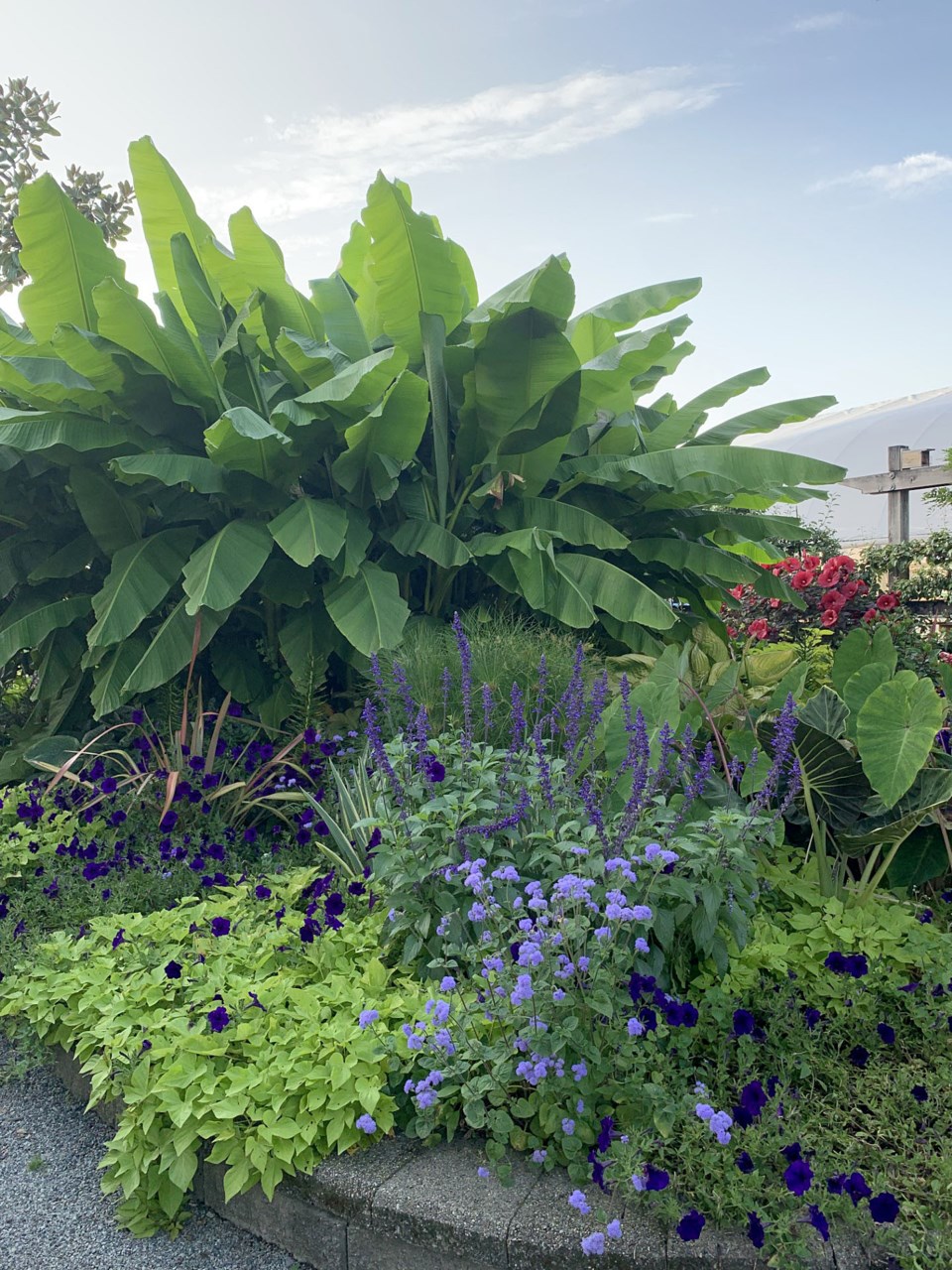 inspiration-garden8