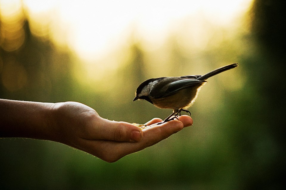 kevin-van-derr-leek-photographymomentgettyimages-85570084