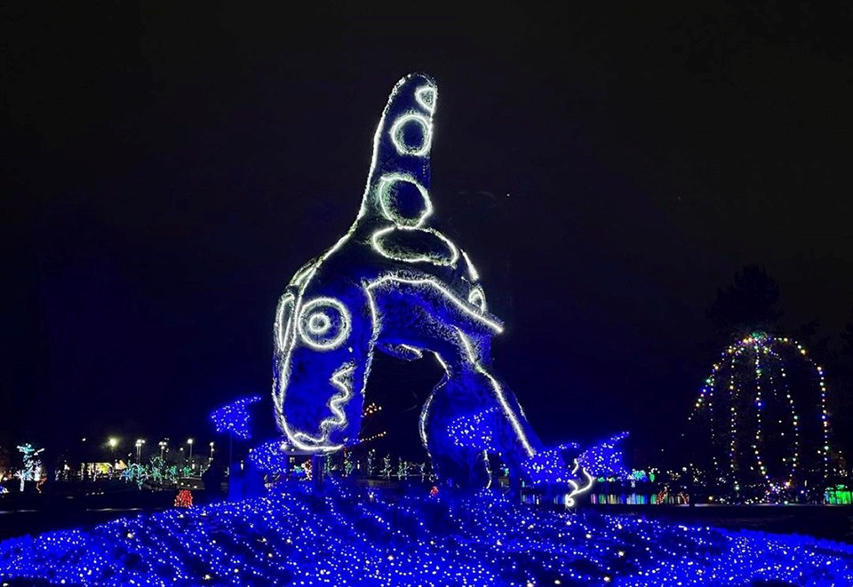 Coquitlam's Lights at Lafarge offering more than just twinkling bulbs
