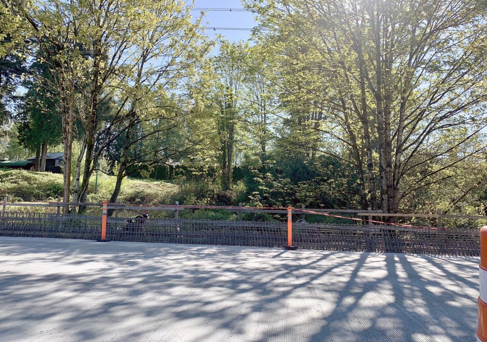 lougheed-hwy-bridge-deck-may-2024