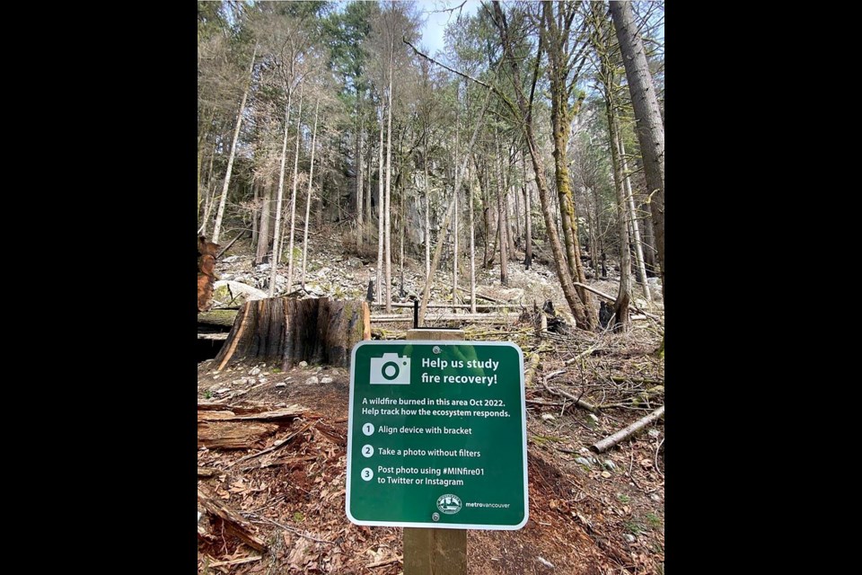 A photo station at Minnekhada Regional Park in Coquitlam to document the forest fire recovery.