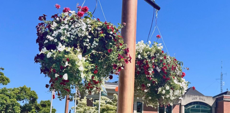 poco-hanging-baskets