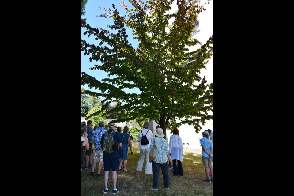 səmiq̓wəʔelə/Riverview Lands in Coquitlam has the second oldest tree collection in Canada.