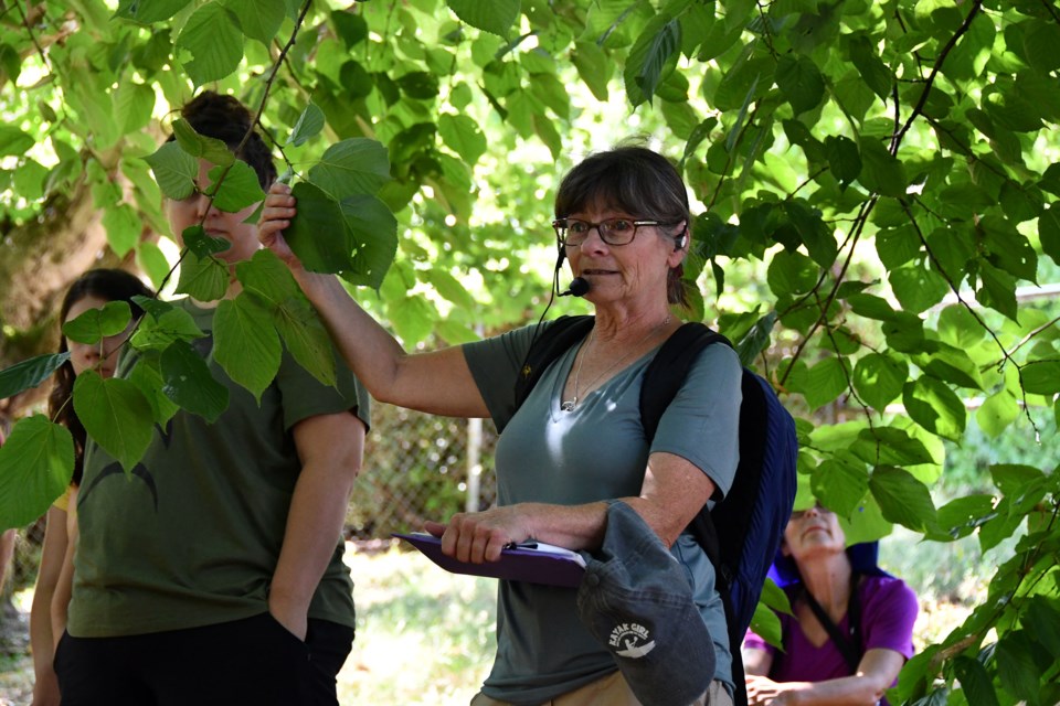 Dr. Nancy Furness leads a tree tour at səmiq̓wəʔelə/Riverview Lands on Aug. 16, 2023.
