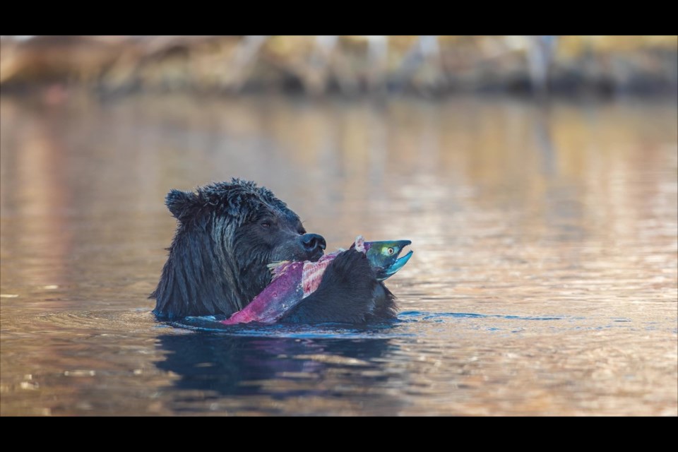 Salmon Dinner