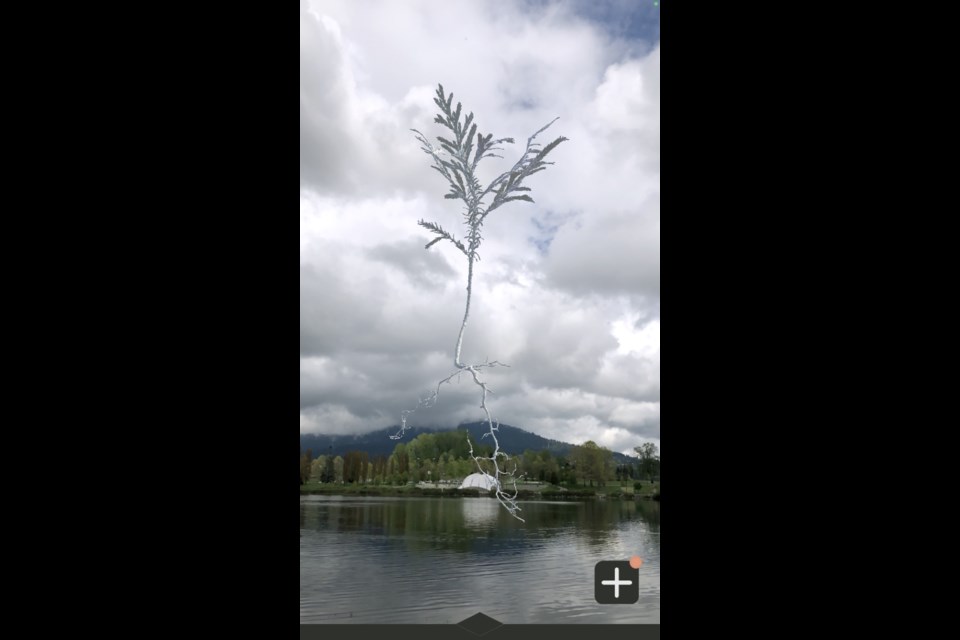 The AR sculpture over Lafarge Lake in Coquitlam.