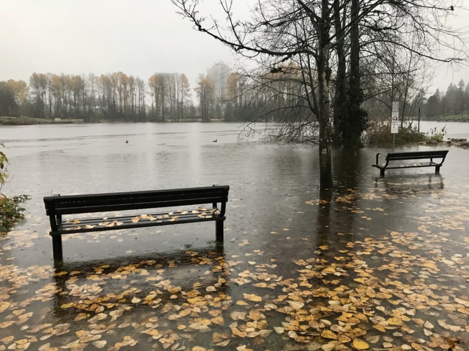 Town Centre Park flooding