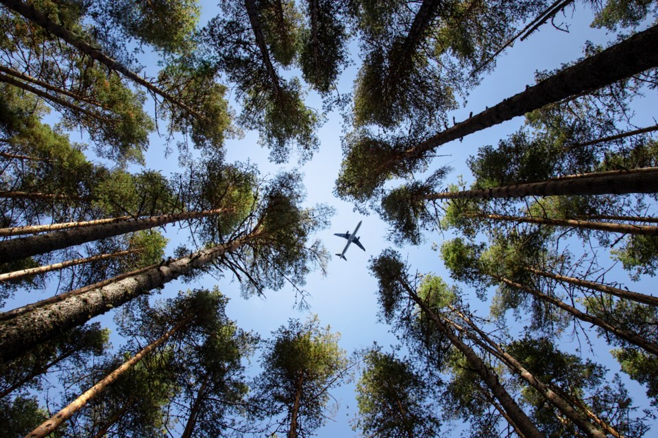 tsvetomir-hristovmomentgettyimages-1457592598