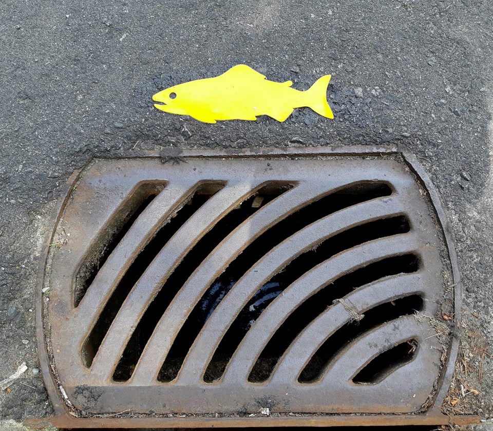 yellow-fish