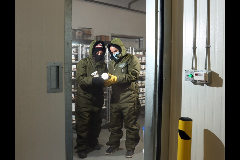 Yvette and Jamie Cuthbert check the ice cream stored in one of two giant freezers at their new Rocky Point production facility and canteen that is set to open April 27.