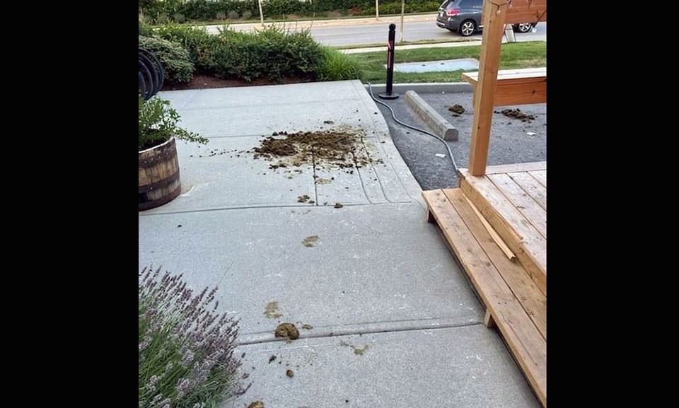 Northpaw Brew Co. in Port Coquitlam says customers who rode to their establishment on horses initially refused to pick up what their animals left behind, costing them time, business and general sanity.