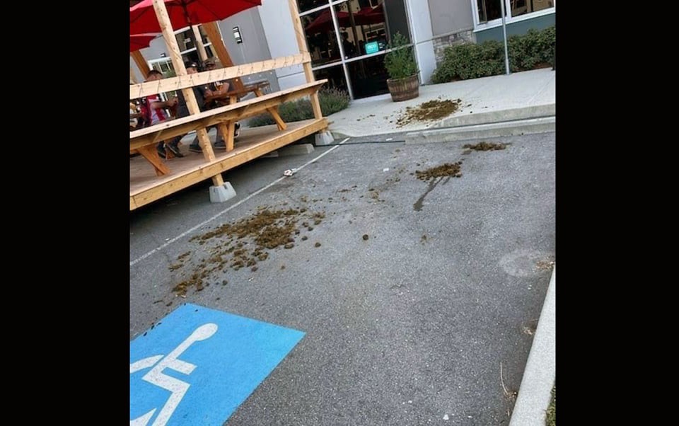 Northpaw Brew Co. in Port Coquitlam says customers who rode to their establishment on horses initially refused to pick up what their animals left behind, costing them time, business and general sanity.
